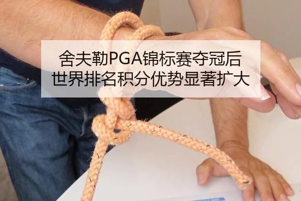 舍夫勒PGA锦标赛夺冠后 世界排名积分优势显著扩大