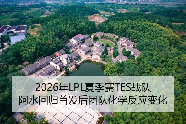 2026年LPL夏季赛TES战队阿水回归首发后团队化学反应变化